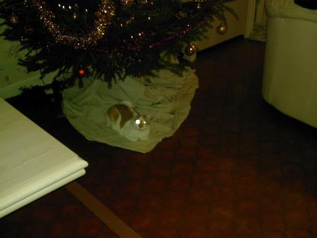 Déja noël